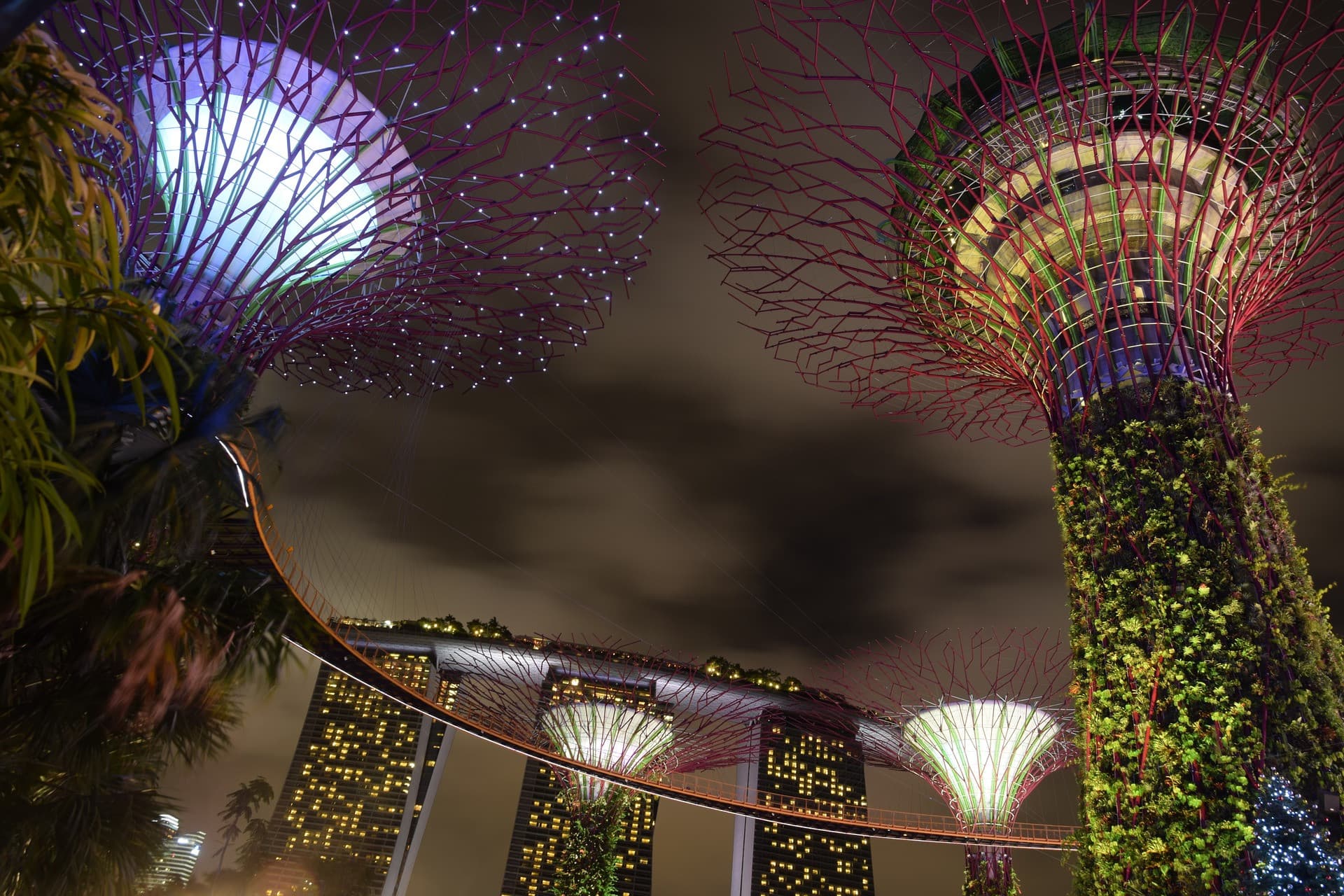 Gardens by the Bay Ticket - image 21